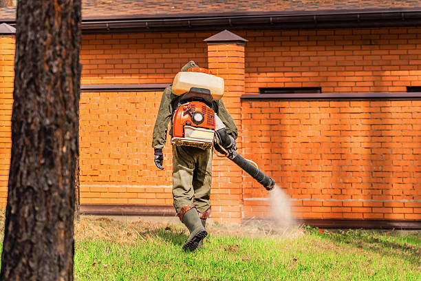 Trusted Termite Control service in Jonesborough, TN - Nex Pest Control